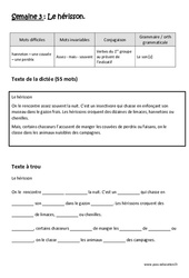 Verbes du 1er groupe au présent de l’indicatif - Le son [z] - Dictée préparée - A trous - Semaine 3 : Primaire 3 - PDF à imprimer