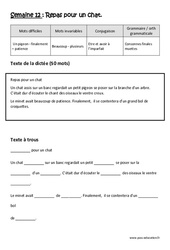 Etre et avoir à l’imparfait - Consonnes finales muettes - Dictée préparée - A trous - Semaine 12 : Primaire 3 - PDF à imprimer