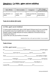 Le Félin, agent secret médiéval - Dictée préparée 8 - A trous : Primaire 4 - Cycle 3 - PDF à imprimer
