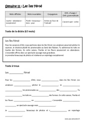 Les îles Féroé - Dictée préparée - A trous : Primaire 4 - PDF à imprimer
