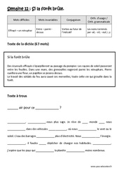 Si la forêt brûle - Dictée préparée 12 - A trous : Primaire 4 - Cycle 3 - PDF à imprimer