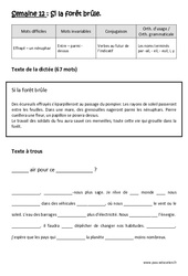 Si la forêt brûle - Dictée préparée - A trous : Primaire 4 - PDF à imprimer