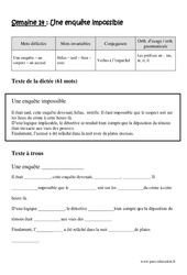 Une enquête impossible - Dictée préparée - A trous : Primaire 4 - PDF à imprimer