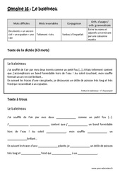 Le baleineau - Dictée préparée 16 - A trous : Primaire 4 - Cycle 3 - PDF à imprimer