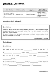 Le baleineau - Dictée préparée - A trous : Primaire 4 - PDF à imprimer