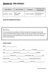 Verbes à l’imparfait - Le pluriel des noms en o, au, eau - Dictée préparée - A trous - Semaine 18 : Primaire 3 - PDF à imprimer