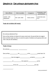Verbes au futur - Le pluriel des noms en ou - Dictée préparée - A trous - Semaine 19 : Primaire 3 - PDF à imprimer