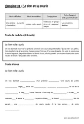 Verbes du 1er groupe et en - ir - au passé simple - Consonnes doubles - Dictée préparée 21 - A trous : Primaire 4 - Cycle 3 - PDF à imprimer