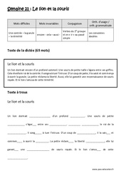 Verbes du 1er groupe et en - ir - au passé simple - Consonnes doubles - Dictée préparée - A trous : Primaire 4 - PDF à imprimer