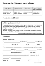 Le Félin, agent secret médiéval - Verbes au présent de l’indicatif - Accord dans le groupe nominal - Dictée préparée - A trous : Primaire 5 - Cycle 3 - PDF à imprimer
