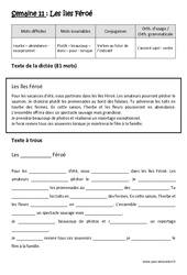 Verbes au futur de l’indicatif - Accord sujet - verbe - Dictée préparée - A trous : Primaire 5 - PDF à imprimer