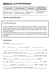 La vie des esquimaux - Verbes au futur de l’indicatif - Participe passé en é ou infinitif en er - Dictée préparée - A trous : Primaire 5 - Cycle 3 - PDF à imprimer