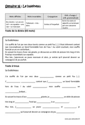 Le baleineau - Verbes à l’imparfait - Ecrire les noms et adjectifs se terminant par une consonne muette - Dictée préparée - A trous : Primaire 5 - Cycle 3 - PDF à imprimer