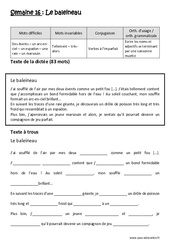 Verbes à l’imparfait - Ecrire les noms et adjectifs se terminant par une consonne muette - Dictée préparée - A trous : Primaire 5 - PDF à imprimer
