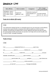 L'été - Verbe être et avoir au passé composé et 1er groupe - Noms terminés par - ail, - eil, - euil, i, y - Dictée préparée - A trous : Primaire 5 - Cycle 3 - PDF à imprimer
