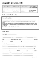 Une belle matinée - Verbe au conditionnel - Noms terminés par le son é - Dictée préparée - A trous : Primaire 5 - Cycle 3 - PDF à imprimer