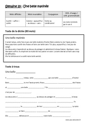 Verbe au conditionnel - Noms terminés par le son é - Dictée préparée - A trous : Primaire 5 - PDF à imprimer