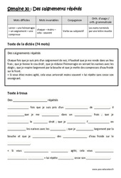 Des saignements répétés - Verbe au subjonctif - Noms terminés par une lettre muette - Dictée préparée - A trous : Primaire 5 - Cycle 3 - PDF à imprimer