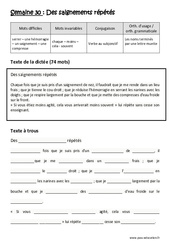 Verbe au subjonctif - Noms terminés par une lettre muette - Dictée préparée - A trous : Primaire 5 - PDF à imprimer