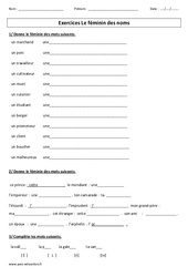 Féminin des noms - Exercices avec correction : Primaire 3 - PDF à imprimer