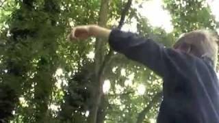 Caractéristiques de notre environnement - Vidéos pédagogiques - SVT : Primaire 6