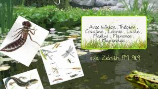 Transformation de la matière dans le sol - Vidéos pédagogiques - SVT : Primaire 6