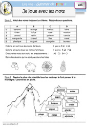 Je joue avec les mots - Gamme de lecture : Primaire 2 - PDF à imprimer