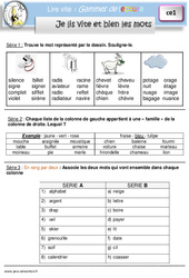 Je lis vite et bien les mots - Gamme de lecture : Primaire 2 - PDF à imprimer