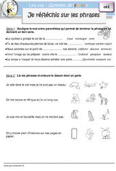 Je réfléchis sur les phrases - Gamme de lecture : Primaire 2 - PDF à imprimer
