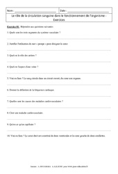Rôle de la circulation sanguine dans le fonctionnement de l'organisme - Exercices corrigés - Remédiation - SVT : Secondaire 1 - PDF à imprimer