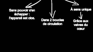 Rôle de la circulation sanguine dans le fonctionnement de l'organisme - Vidéos pédagogiques - SVT : Secondaire 1