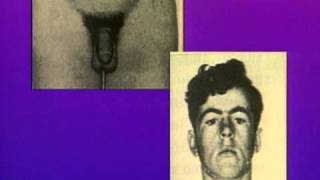 Communication hormonale - Vidéos pédagogiques - SVT : Secondaire 2