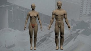 De la fécondation à la naissance - Vidéos pédagogiques - SVT : Secondaire 2