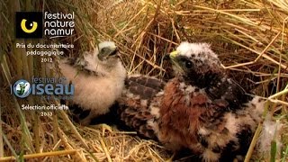 Reproduction sexuée - Conditions des milieux de vie - Vidéos pédagogiques - SVT : Secondaire 2