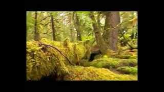 Evolution des êtres vivants - Vidéos pédagogiques - SVT : Secondaire 3