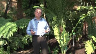 Evolution biologique et environnement - Vidéos pédagogiques - SVT : Secondaire 3