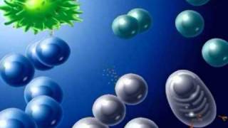 Défense de l'organisme - Système immunitaire - Vidéos pédagogiques - SVT : Secondaire 3