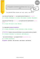 Orthographier correctement le pluriel des noms en - eau, - eu, - al et au - Cours, Leçon : Primaire 4 - PDF à imprimer