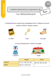 J’identifie le déterminant et je comprends son rôle - Cours, Leçon : Primaire 2 - PDF à imprimer