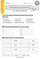 J’identifie le déterminant et je comprends son rôle - Exercices : Primaire 2 - PDF à imprimer