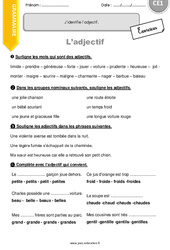 J’identifie l’adjectif - Exercices avec correction : Primaire 2 - PDF à imprimer
