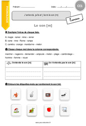 J’entends, je lis et j’écris le son [m] - Exercices  : Primaire 2 - PDF à imprimer