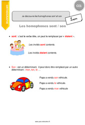 Je découvre les homophones sont et son - Cours, Leçon : Primaire 2 - Cycle 2 - PDF à imprimer