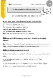Comment découvrir les homophones sont et son - Exercices avec correction : Primaire 2 - PDF à imprimer