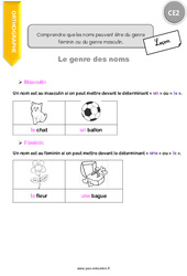 Comprendre que les noms peuvent être du genre féminin ou du genre masculin - Cours, Leçon : Primaire 3 - PDF à imprimer