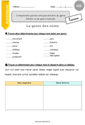 Comprendre que les noms peuvent être du genre féminin ou du genre masculin - Exercices  : Primaire 3 - PDF à imprimer