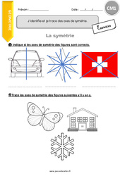 J’identifie et je trace des axes de symétrie - Exercices avec correction : Primaire 4 - PDF à imprimer
