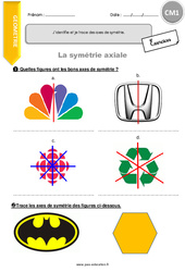 J’identifie et je trace des axes de symétrie - Exercices avec correction : Primaire 4 - PDF à imprimer
