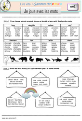 Je joue avec les mots - Gamme de lecture : Primaire 4 - PDF à imprimer