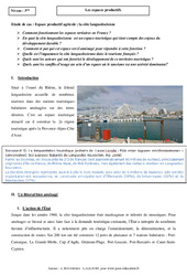 La côte languedocienne - Les espaces productifs - Etude de cas : Secondaire 3 - PDF à imprimer
